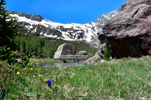 Pin Valley National Park Landscape